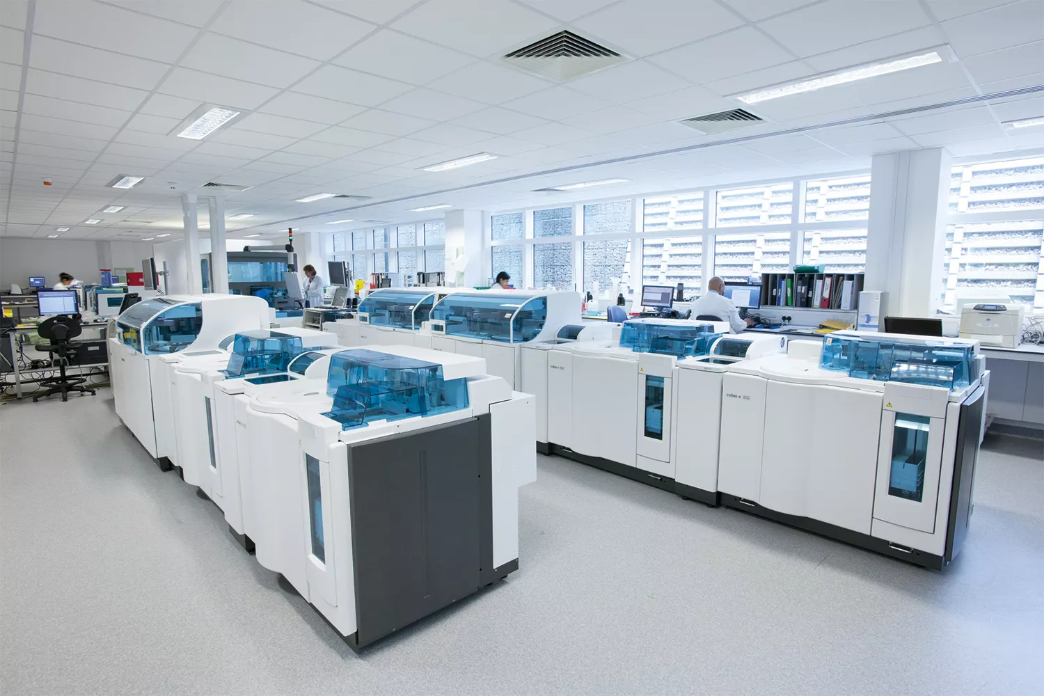 LAb