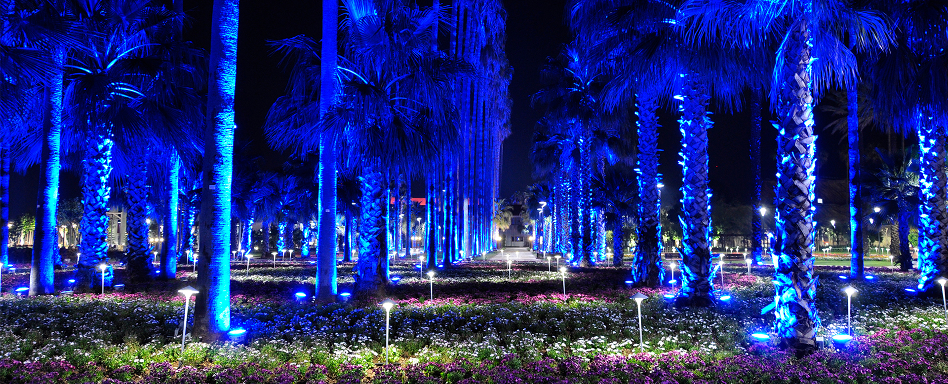 Park ve Bahçeler İçin Işık Planlaması